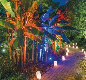 Tropical nights demand tropical lights.