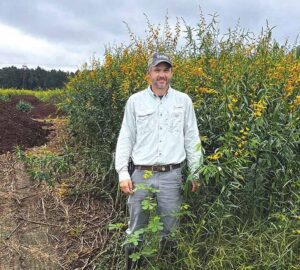 Jason Carter stands in a field of sunn hemp, sunflower, and buckwheat cover crop.
