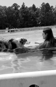 Lee Cato is training Australian Shepherd Sophie how to swim.