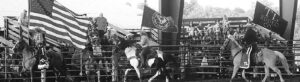 With a grandstand full of cowboys and cowgirls, the show started off with a royal salute to the U.S. flag and the National Anthem.