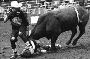 Clown Down—Bull riding gave a chance for S.C. EMS to show their first responders quick action to an incident. A rodeo clown is pinned down by a mad bull while another referee blocks the bulls horns with his foot to keep the bull’s horns from gouging the clown’s head.