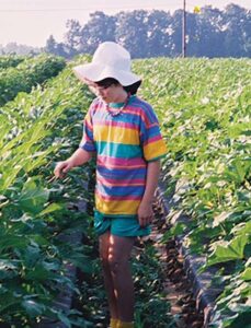 Farmer’s okra field in Hopkins