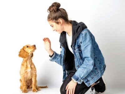 Action First, Then Reinforcement: Avoiding the use of coercion in dog training