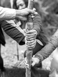 “Let’s plant a tree.”