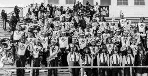 Contributed by Ilyssa Weiner