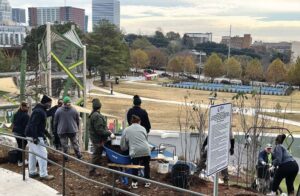 TD Tree Days at Finlay Park